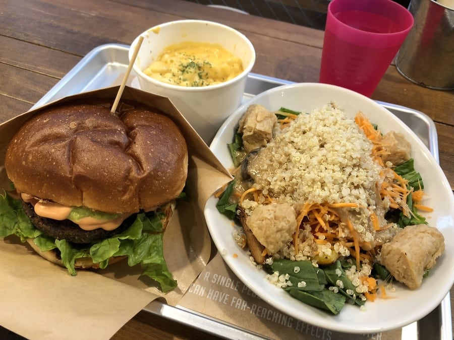 Vegan Vegetarian restaurants in Tokyo Ain Soph.Ripple