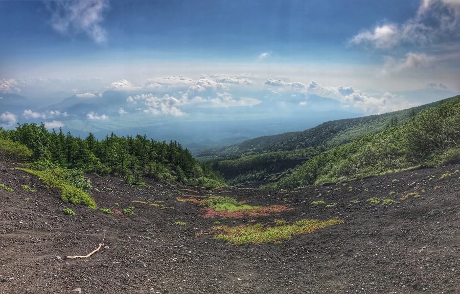 climbing Mount Fuji vegetation