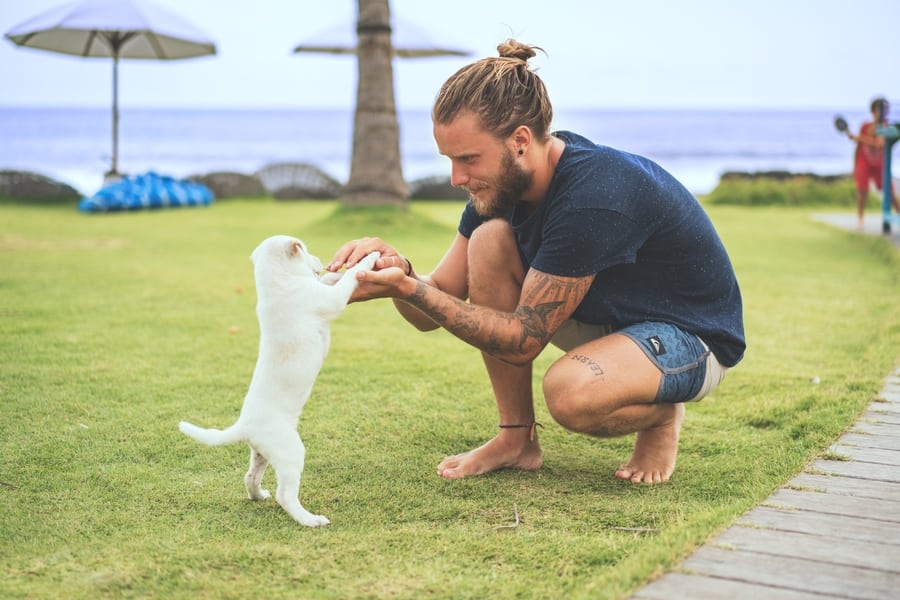 #Vegan is trending! And these are the seven types of vegans that you often see on social media