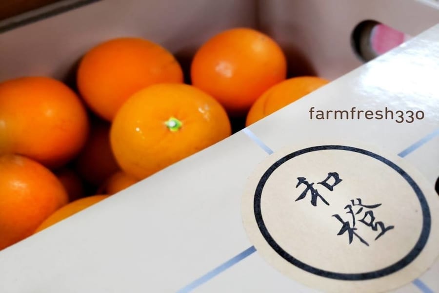 social enterprises in Hong Kong Farmfresh 330