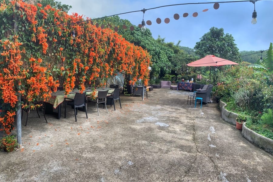 Olive Leaf Hong Kong Patio_01
