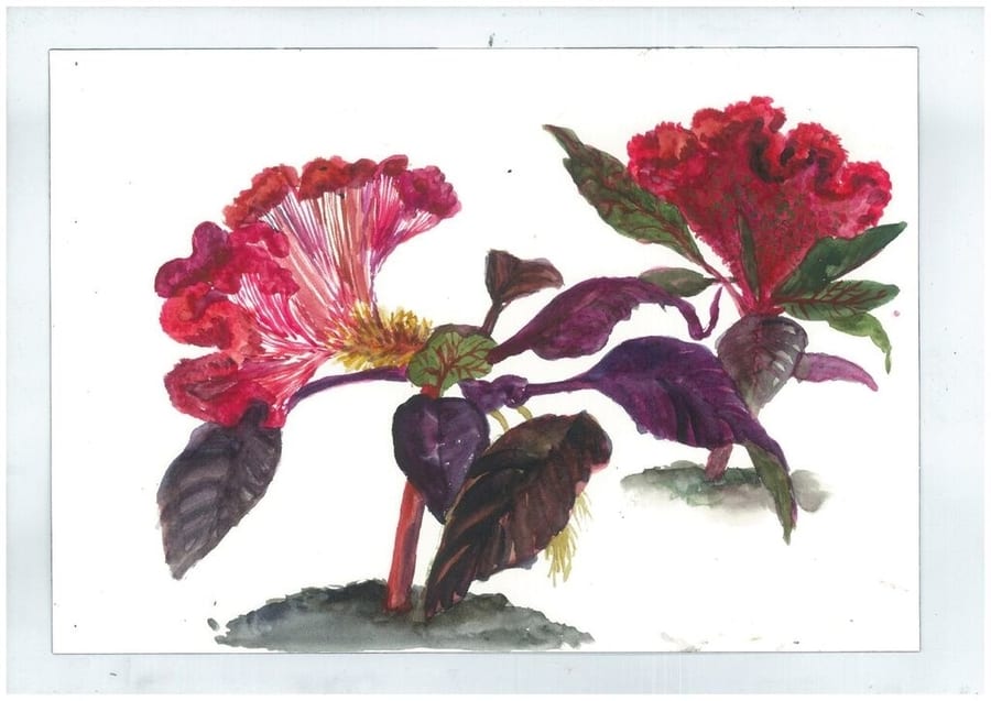 François Olislaeger Exhibition art exhibitions in Hong Kong
