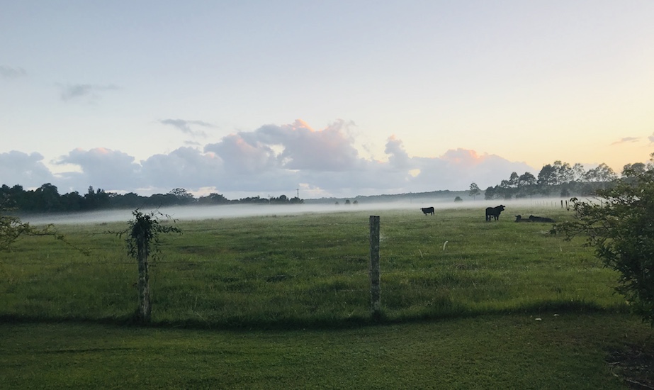guide to Byron Bay daytrips