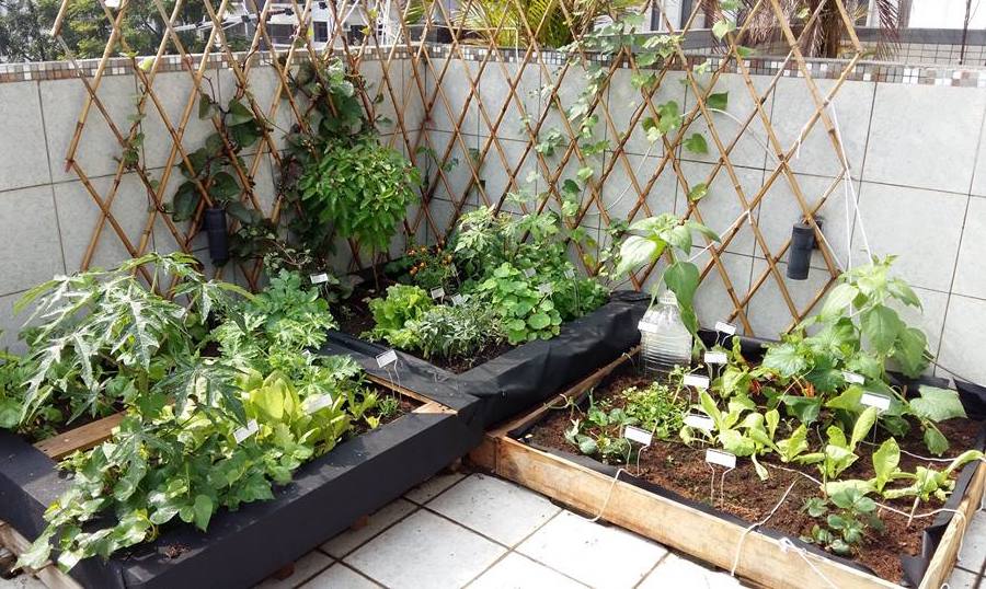 HK Community Composting volunteer with kids in Hong Kong