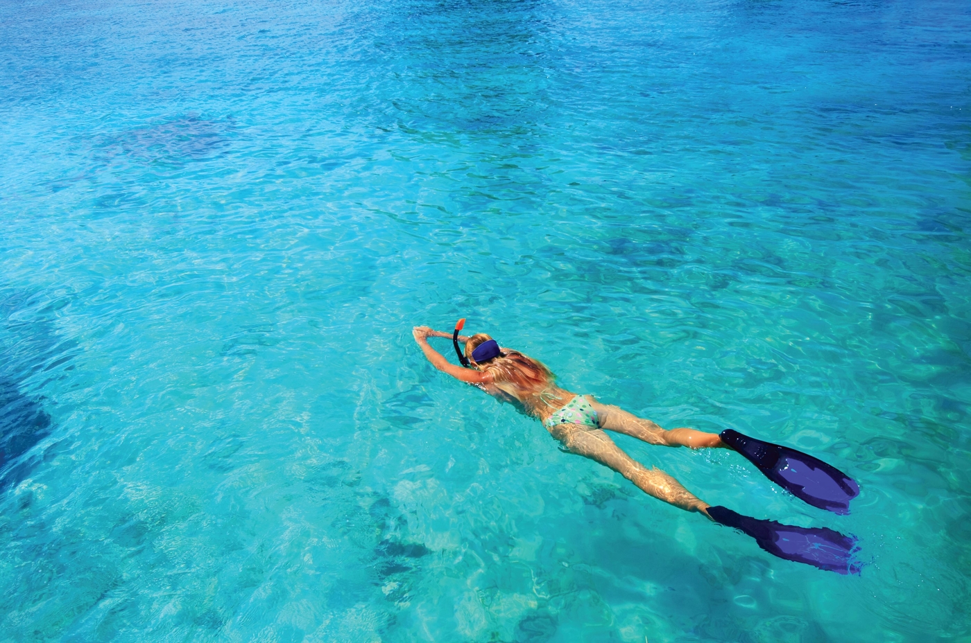Wa Ale resort snorkeller
