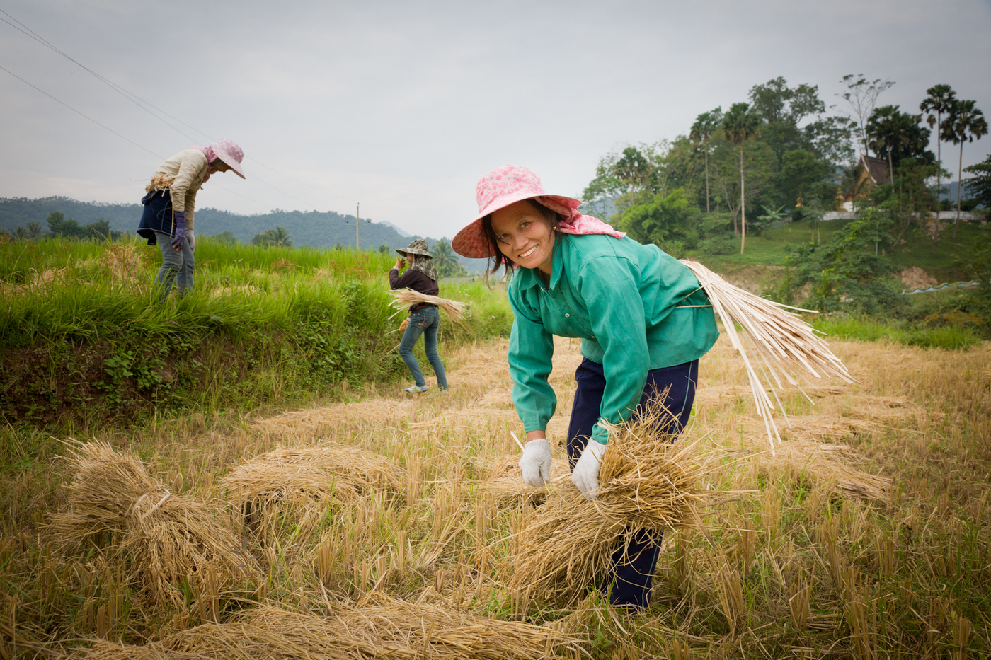 Laos travel guide Muang La