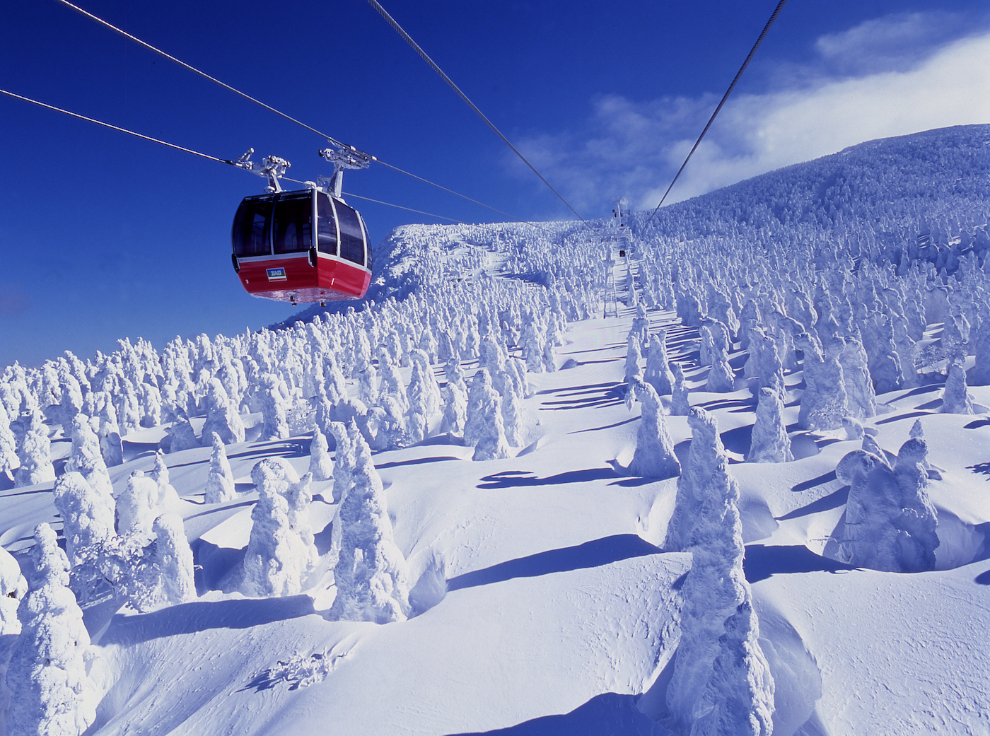 Yamagata ice trees HIS travel