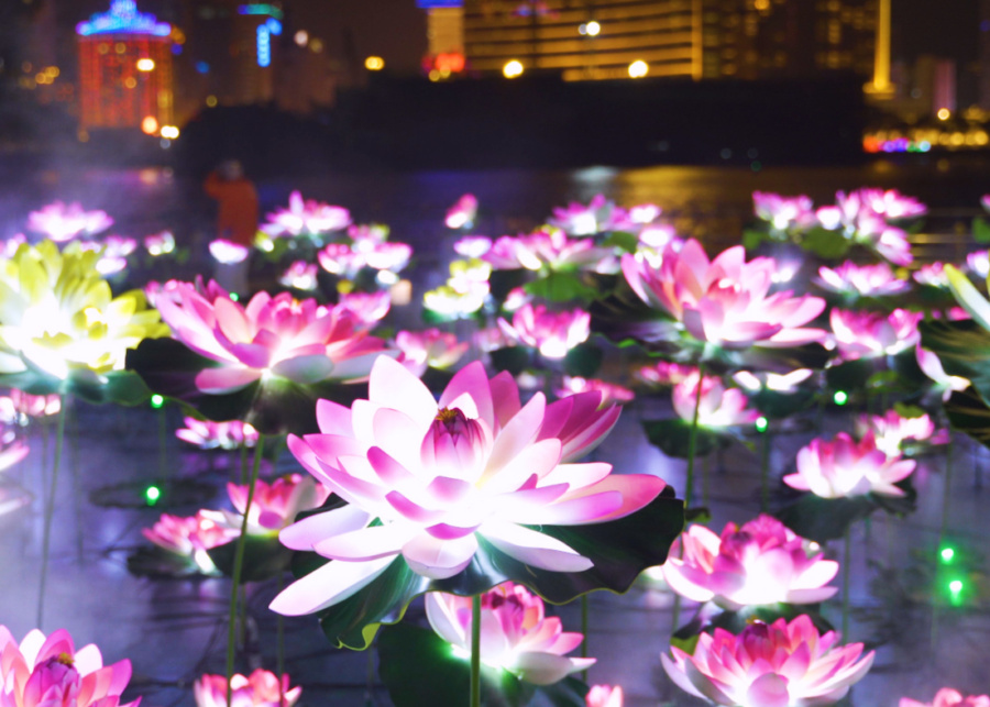 Join in the events to celebrate the 20th anniversary of the establishment of Macao SAR