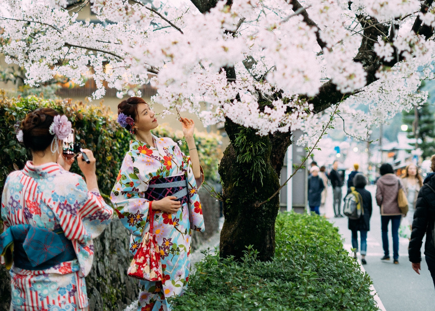 when is the best time to travel to Japan spring
