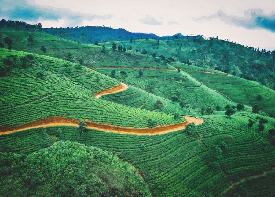 The off-the-beaten-path guide to Sri Lanka: five lesser-known spots to visit