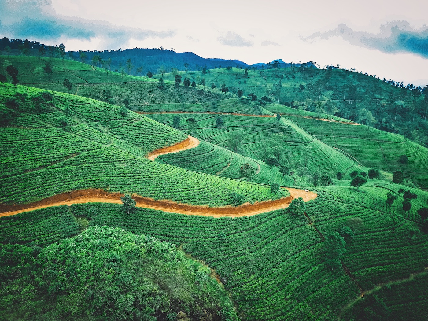 The off-the-beaten-path guide to Sri Lanka: five lesser-known spots to visit