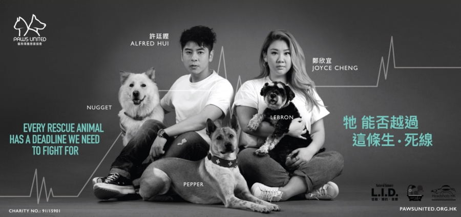 Paws United Charity