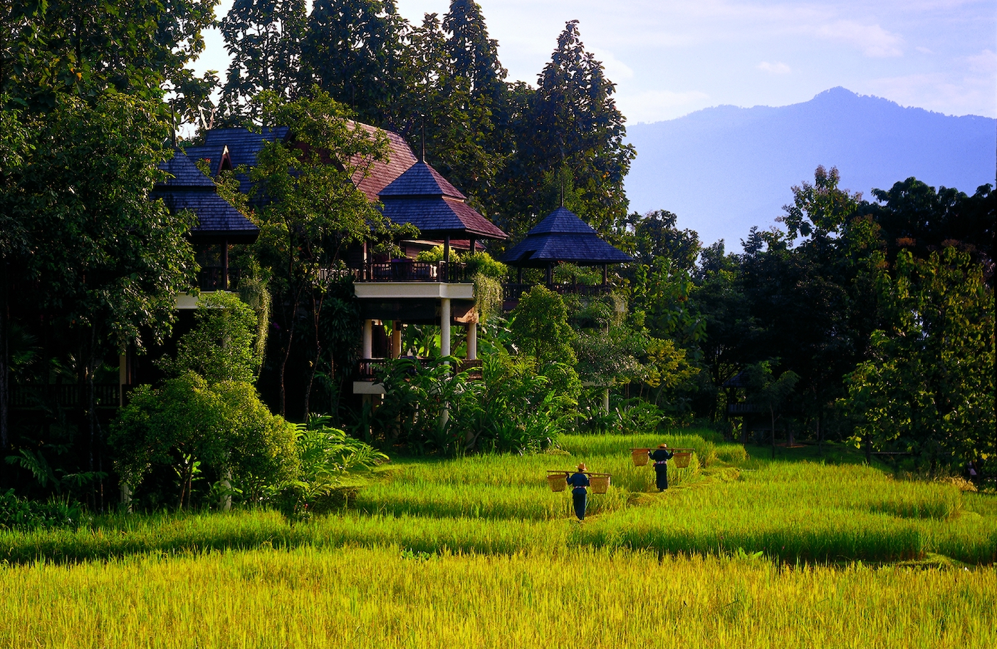 Chiang Mai Four Seasons